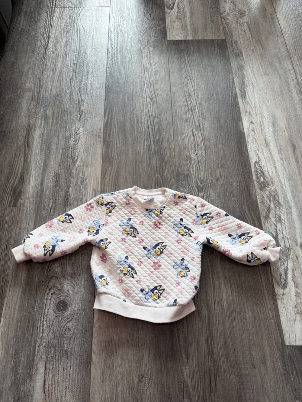 Bluey Girls Pink Quilted Character Sweatshirt